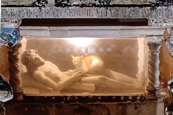 Gatto sulle gambe di Cristo, monumento Calvario di Manduria maggio 2024