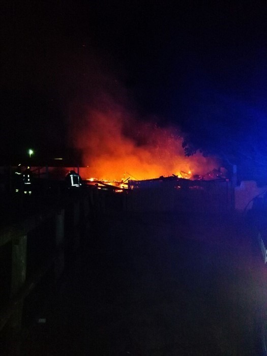 Incendio Spiaggia del Conte, Punta Prosciutto