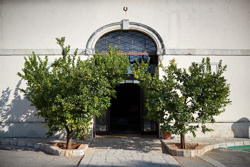 La cantina La cantina