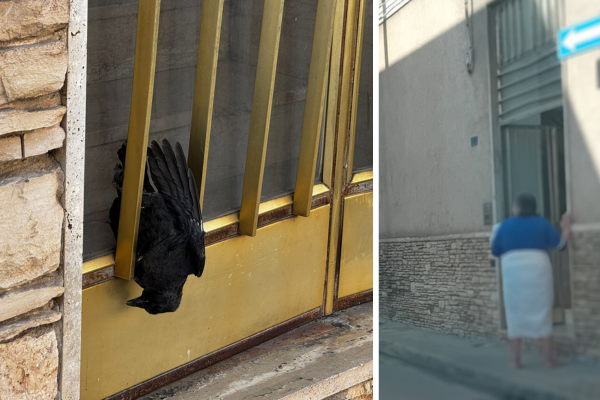 L’uccello nero sulla porta delle due donne invisibili che nessuno ha voluto vedere
