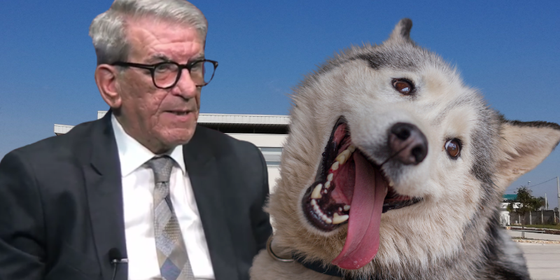 “Chi sbaglia paga”: Breccia chiede che i danni economici dell’ordinanza sulla museruola ai cani, li paghi il sindaco 