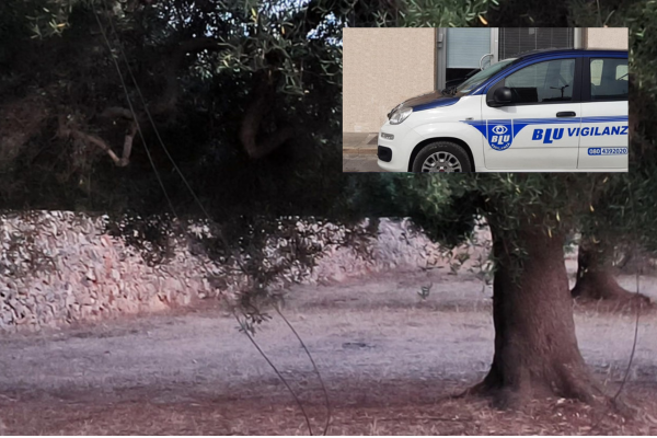 I vigilanti sventano un furto di rame in contrada Demani