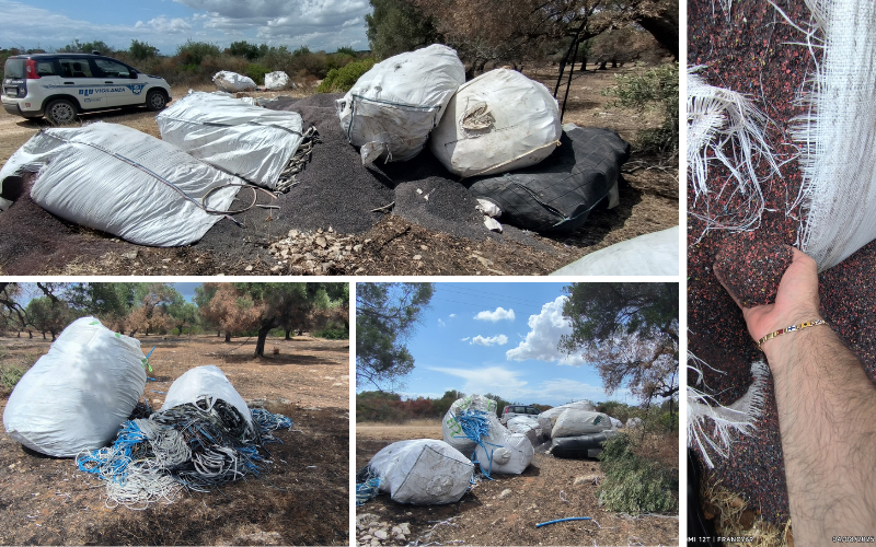 Il rifiuto di micro plastiche 