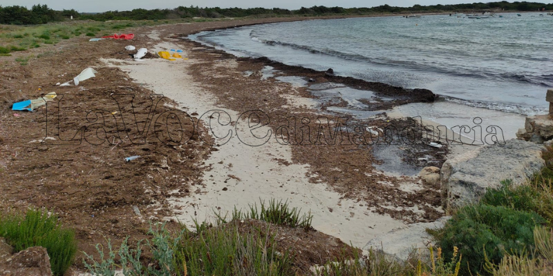 Troppe alghe, il sindaco chiude la spiaggetta libera di Colimena. "pericolosa"