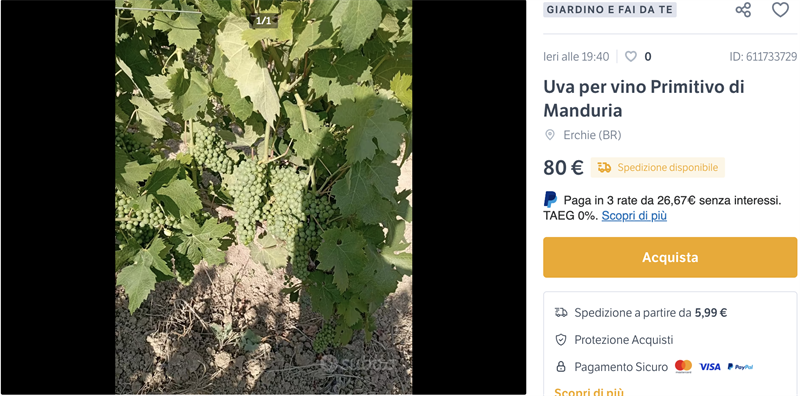 L'annuncio su Subito.it L'annuncio su Subito.it