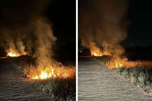 L’incendio L’incendio