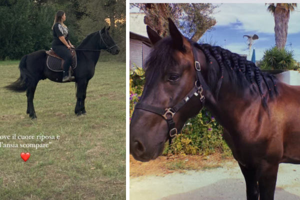 Francesca con il suo cavallo scomparso Francesca con il suo cavallo scomparso