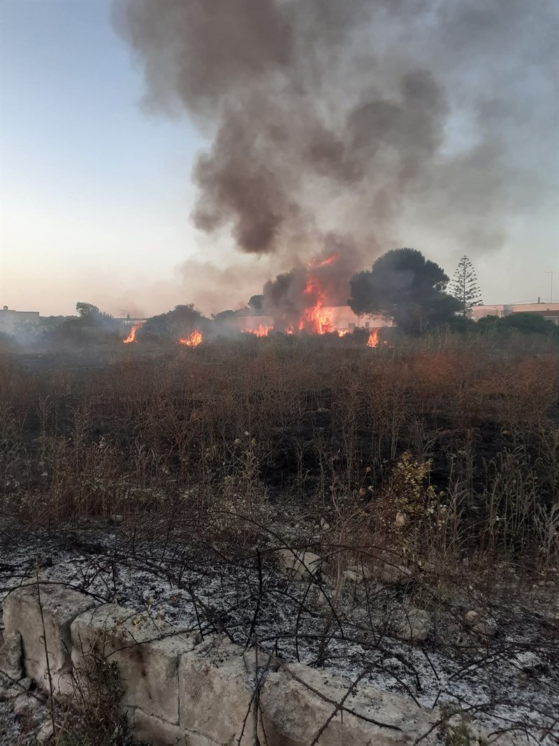 Fiamme nelle marine di Manduria, bruciati ettari di macchia mediterranea