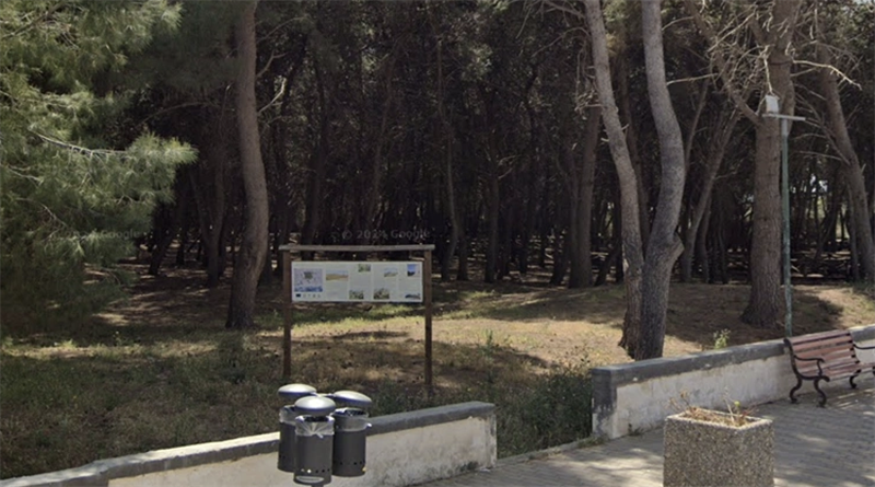 Pineta di San Pietro in Bevagna Pineta di San Pietro in Bevagna