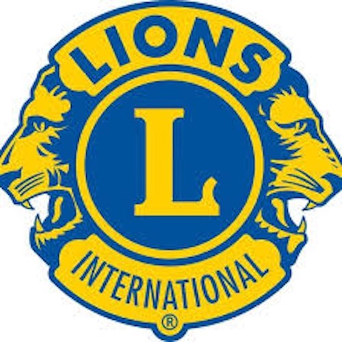 Lions
Lions