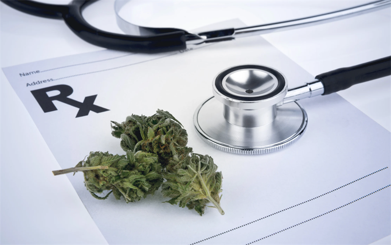 Cannabis terapeutica Cannabis terapeutica