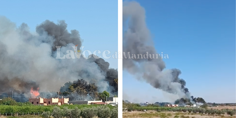 L'incendio L'incendio