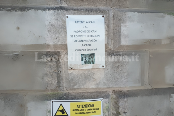 Il cartello di Stellina: Attenti ai cani e anche al loro padrone  
