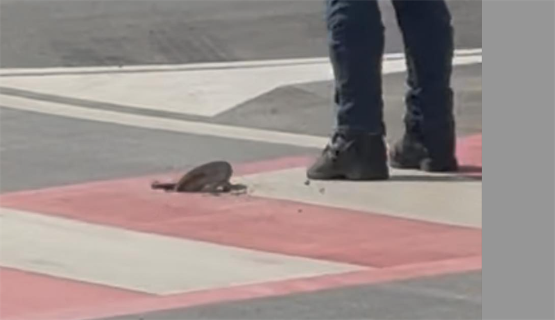Paura al passaggio torrese del giro d'Italia per un tombino che si è sollevato [IL VIDEO]