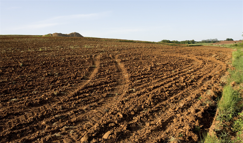 Il Comune mette sul mercato dieci lotti di terreno agricolo