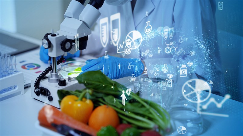 La normativa haccp: che cosa è importante sapere
