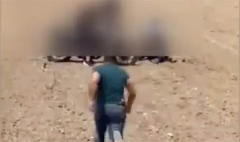 Il video dell'arresto di Michele Mastropietro prima del decesso