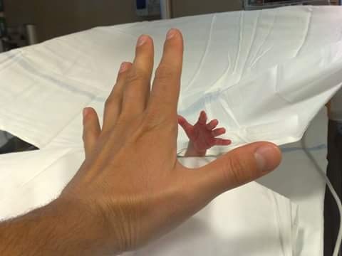 Neonatologia Neonatologia