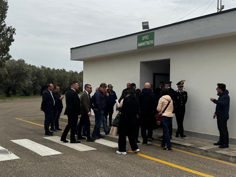 Una passerella tra i fetori e le assenze