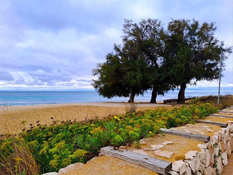 San Pietro in Bevagna, marina di Manduria, ottobre 2023