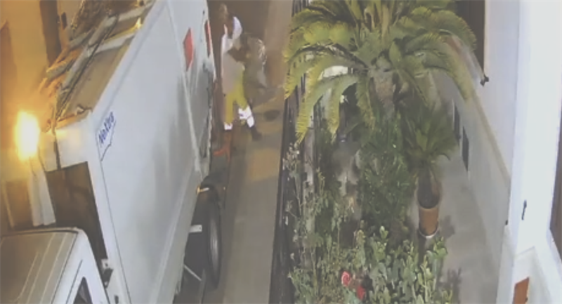 Il video