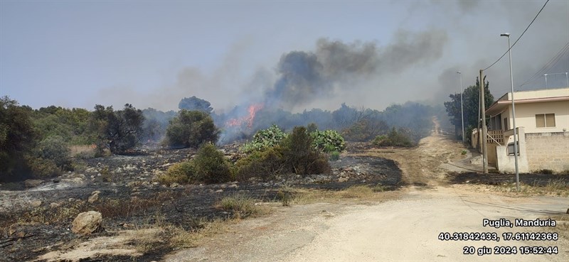 Il fronte del fuoco Il fronte del fuoco