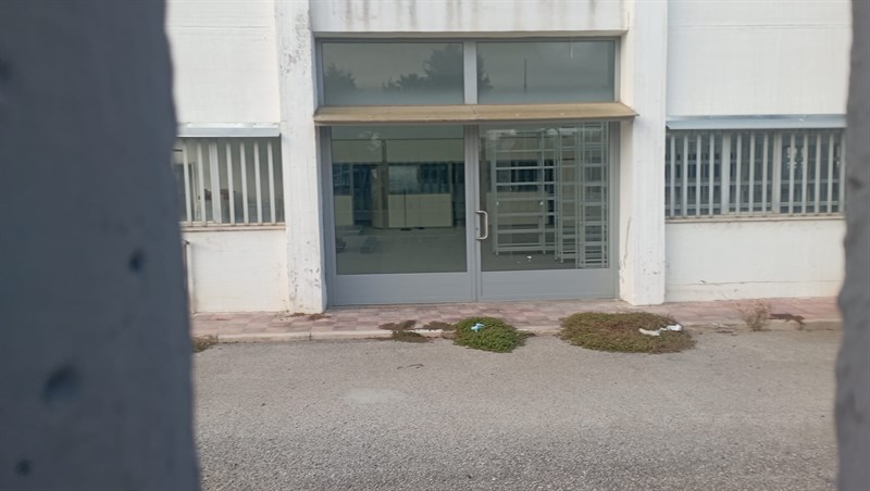 L'ingresso della nuova gattiana L'ingresso della nuova gattiana
