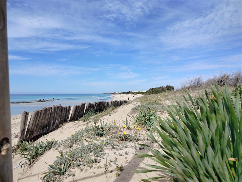 Spiaggia in fiore, marina di Manduria, Pasquetta 2025