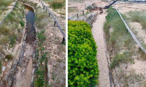 La situazione del canale della salina