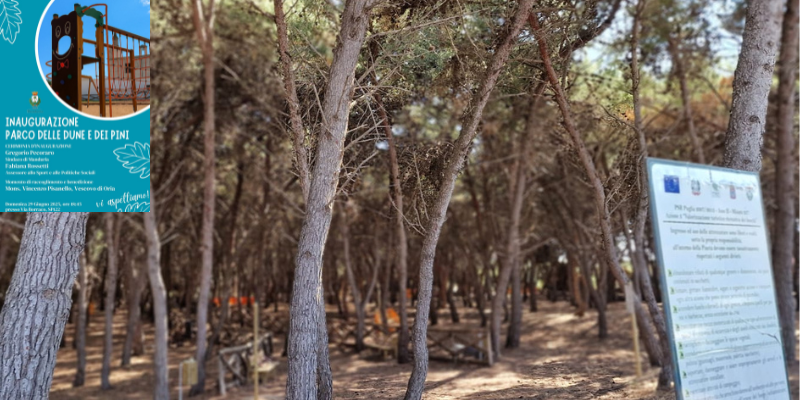 Pineta: nuovo nome, vecchio paesaggio, altri riflettori