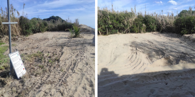 “Duna spianata nella marina di Manduria”, la denuncia nelle foto di un lettore 