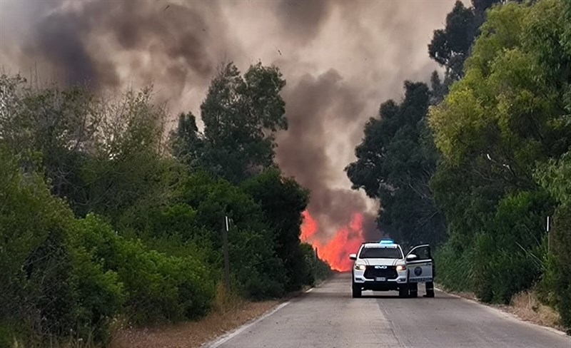 Fiamme sulla litoranea di Colimena minacciano la Palude del Conte