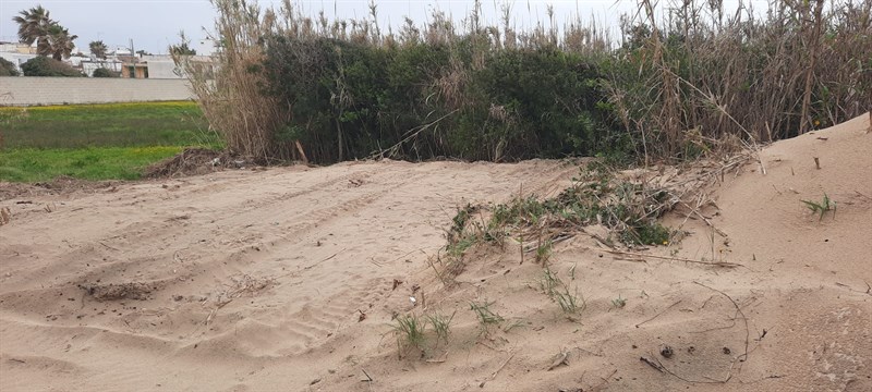 Sbancamento sospetto nelle marine di Manduria, aperta l’indagine