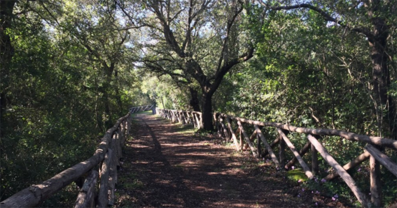 Bosco Cuturi Bosco Cuturi