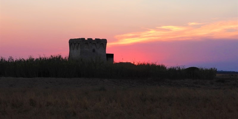 La torre La torre