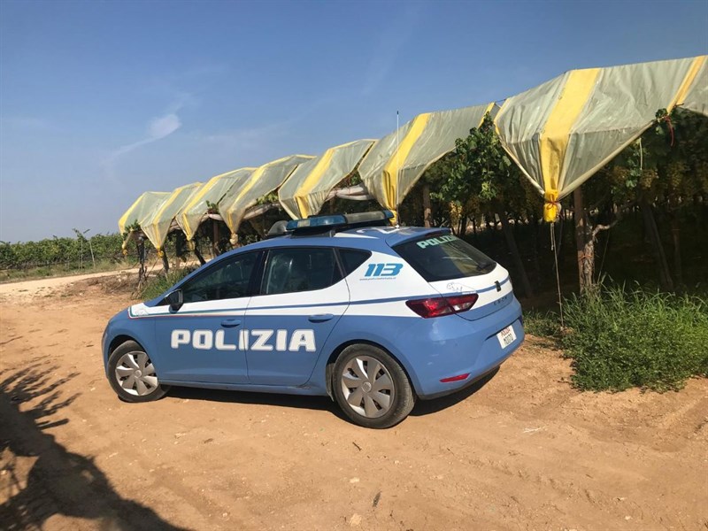 Polizia vigneto Polizia vigneto