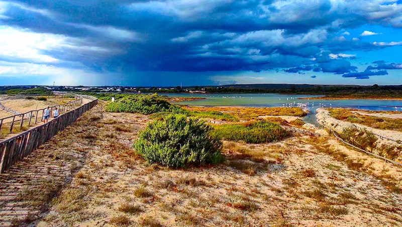 Salina dei Monaci, marina di Manduria, settembre 2023