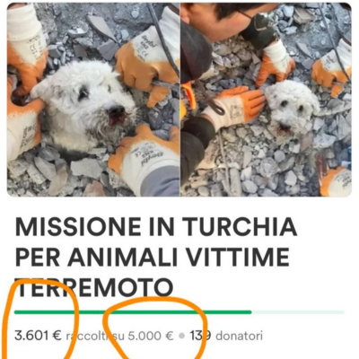 La foto del salvataggio La foto del salvataggio