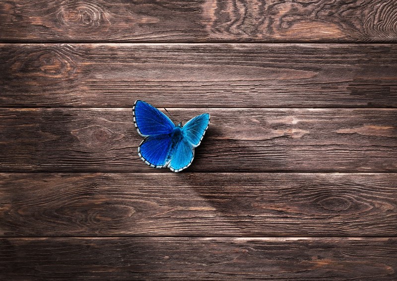 Con il giusto trattamento il legno ritrova la sua naturale bellezza