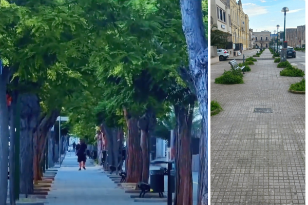 Il viale prima e dopo Il viale prima e dopo