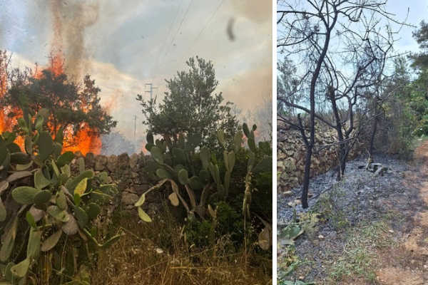 L’incendio L’incendio