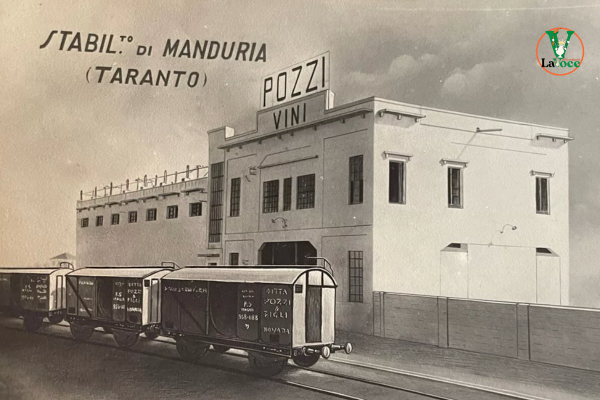 La vecchia azienda Pozzi Vini di Manduria La vecchia azienda Pozzi Vini di Manduria