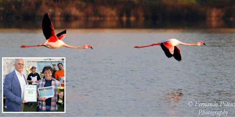 Fernando strappa il primo premio con la foto dei fenicotteri rosa