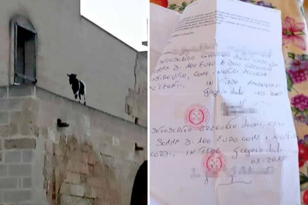 Peppa e Pippo sul monastero con regolare contratto d'affitto