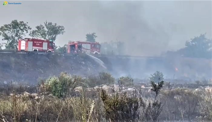 Fiamme Torre Guaceto, brucia la macchia mediterranea