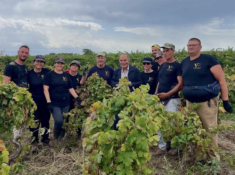 Bruno Vespa celebra la vendemmia del Primitivo con una foto tra i filari