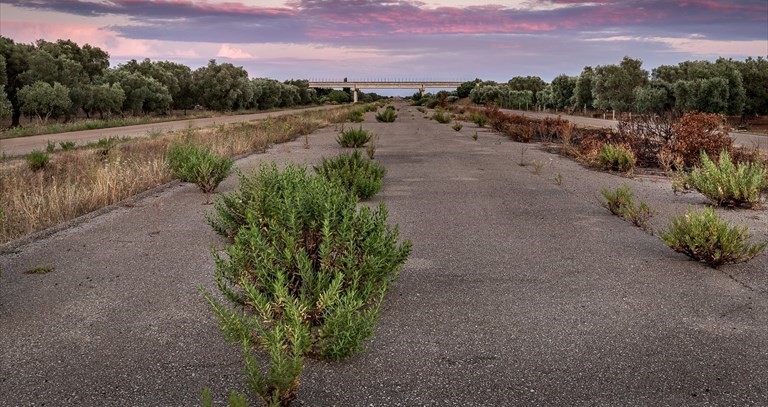 Strada-relitto Bradanico Salentina, tratto di Manduria, luglio 2016 - Scatto di Giampiero Resta