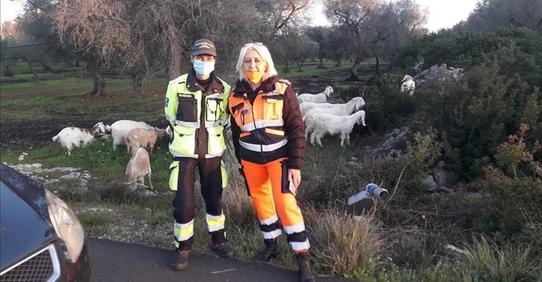 I volontari della Protezione civile