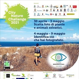 Locandina Locandina