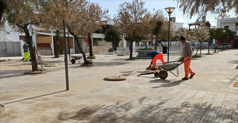 Pulizia in azione Pulizia in azione